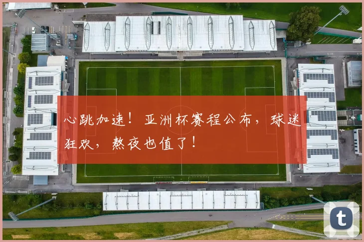 心跳加速！亚洲杯赛程公布，球迷狂欢，熬夜也值了！