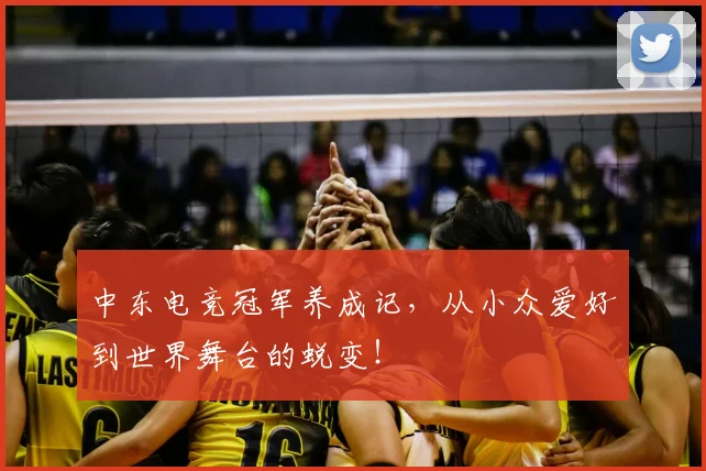 中东电竞冠军养成记,从小众爱好到世界舞台的蜕变!