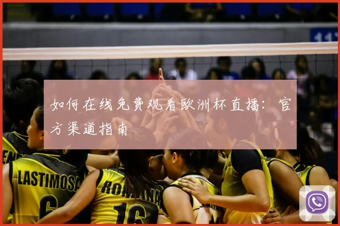 如何在线免费观看欧洲杯直播：官方渠道指南